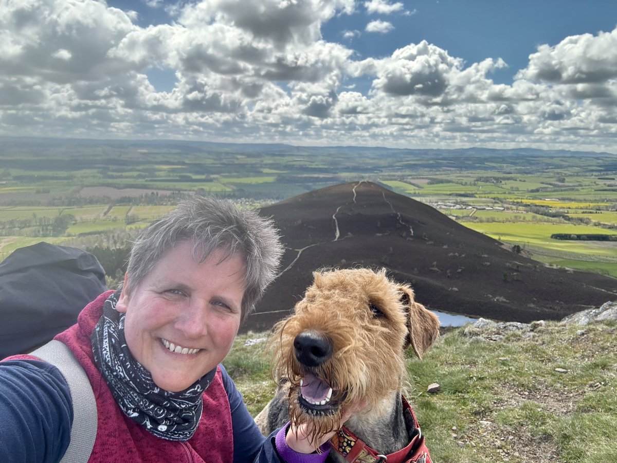 GryffinAiredale tweet media
