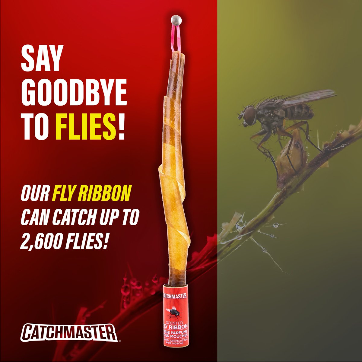 Catchmaster's tweet image. Wanna catch up to 2,600 flies? We&apos;ve got your back (and your ceiling) covered. Say goodbye to fly fiestas and hello to a fly-free zone! 💪🦟 #FlyControl #Catchmaster