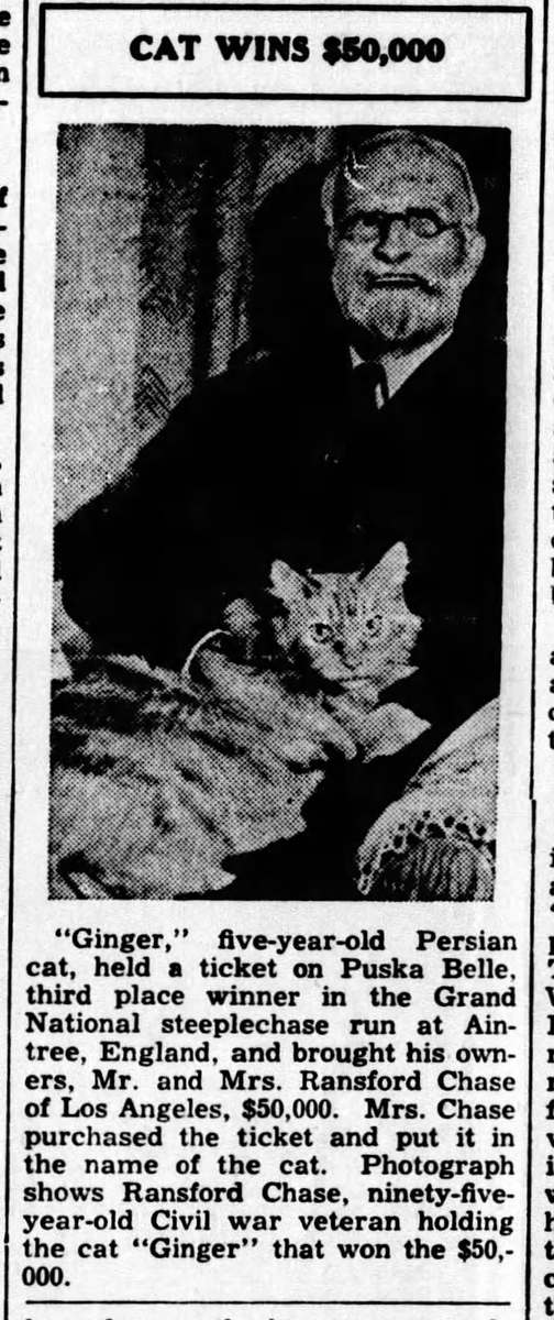 Our #Caturday Feline of the Week is Ginger, expert handicapper. (The Legal News 1937, via @_newspapers)