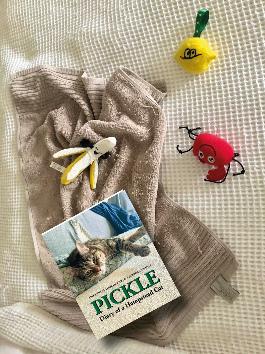 The ultimate promo to end all promos... @TowelyTowel has been immortalised in the form of book!! 📗 Tomorrow is the final, final chance for a signed copy of @PickliciousF's book . To order, DM @GonzotheCat1 or email gonzothecat2012@gmail.com #PickleDiary