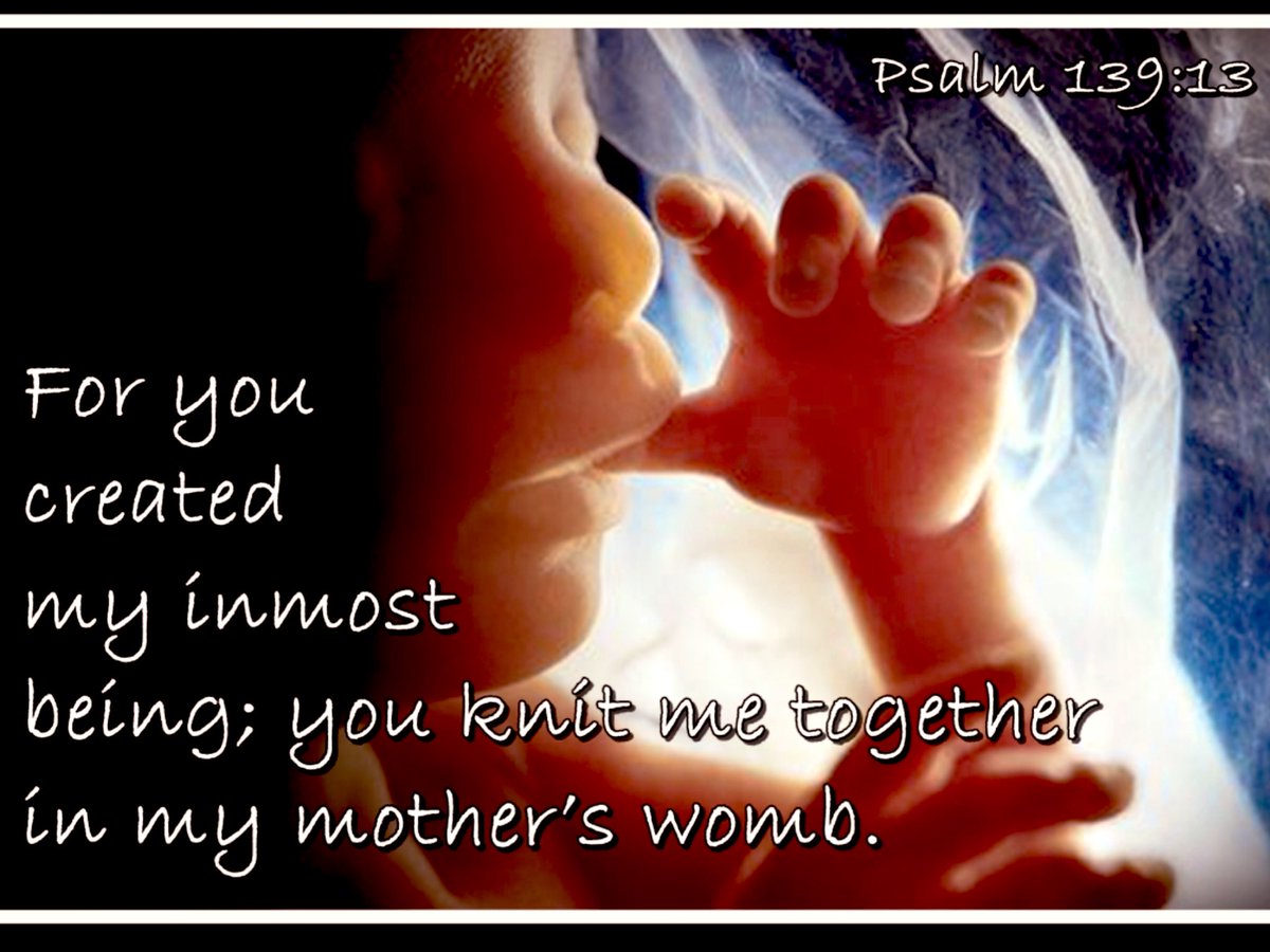 For thou hast possessed my reins: thou hast covered me in my mother’s womb. I will praise thee; for I am fearfully and wonderfully made: marvelous are thy works; and that my soul knoweth right well. ~PSALMS 139:13-14 (KJV)