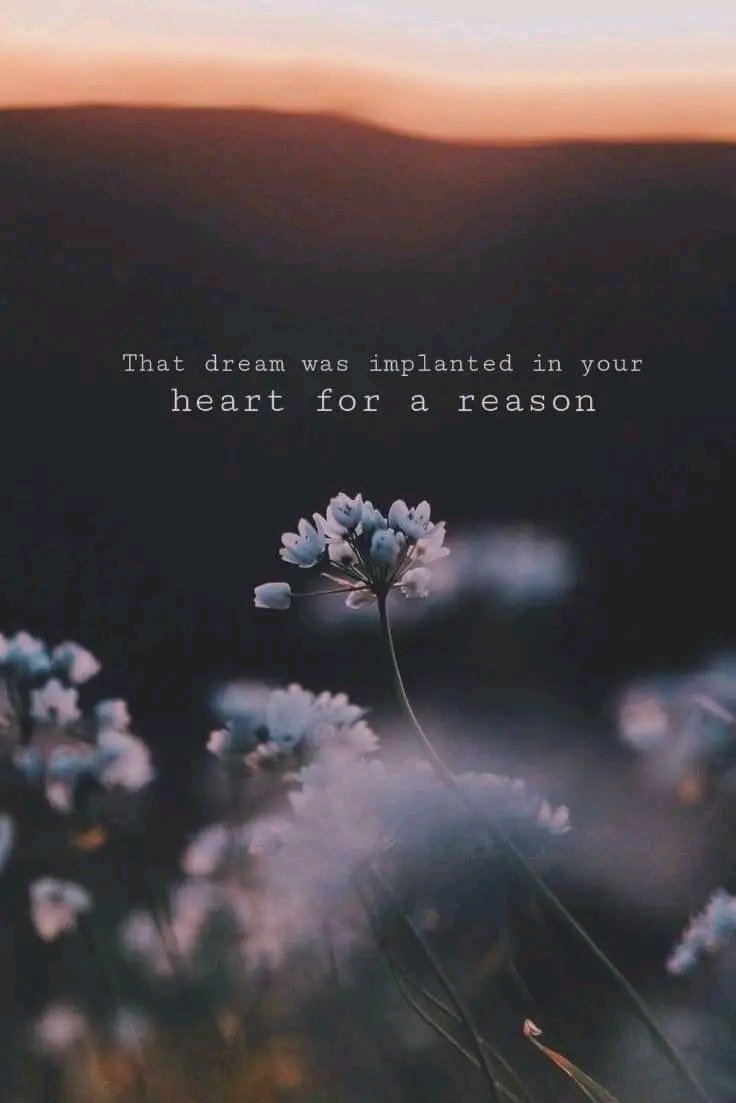 ❝That dream was implanted in your heart for a reason❞

#mindfulliving #mindsetiseverything #enjoyeverymoment #quotesforyou #beproudofyourself #Respect #beproud #knowyourworth #beyou #LiveInTheMoment #peace #changeyourlife