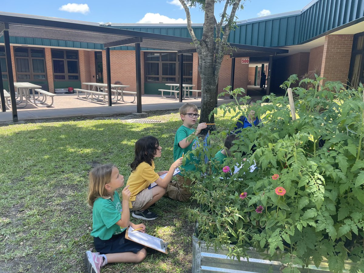 Math is everywhere! First graders in Ms. Porter’s class went on an outdoor counting adventure through our grade level gardens!