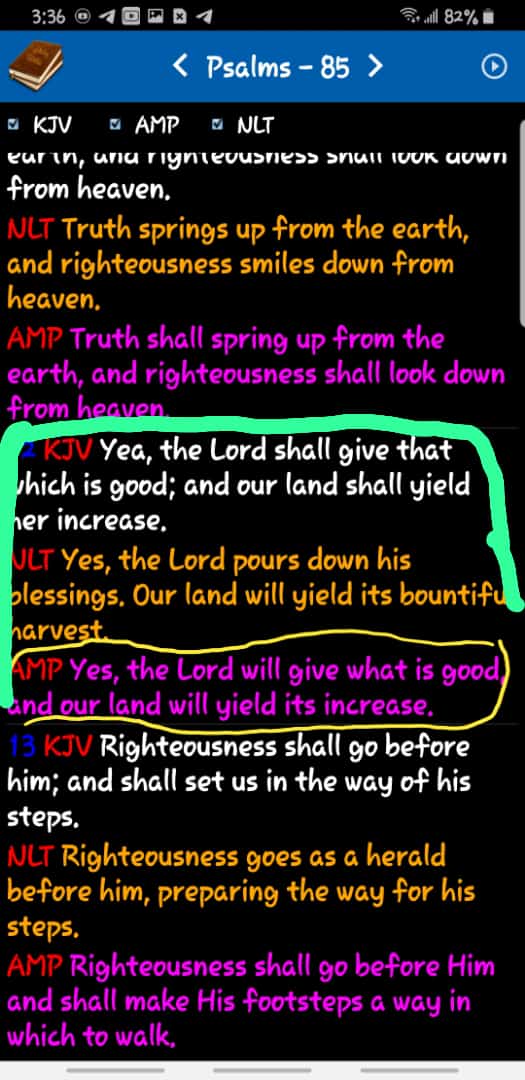 luper_adem's tweet photo. Abundance https://t.co/TjF4kjp2Po