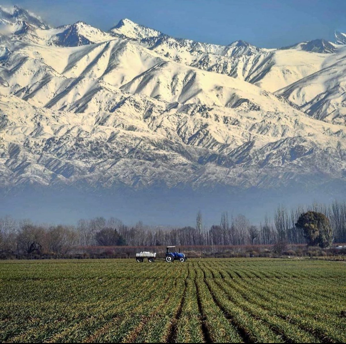 Mendoza. 📸🇦🇷