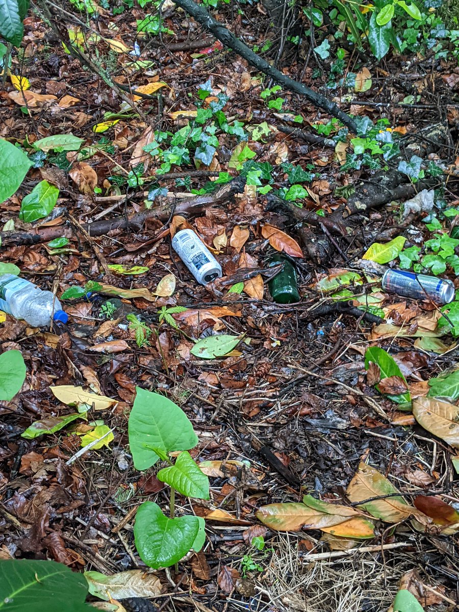 EricTorrington's tweet photo. What to do on a cold Saturday afternoon 🤔 Watch @BeyondPOfficial with her & get man points. 🤔 Or pick 645 #litter items from #Drycott Trading Estate, #Cam #Dursley. Well I did both & help solve the crime & pick up litter, also an offence 😜 https://t.co/oLpiVVr9Tf