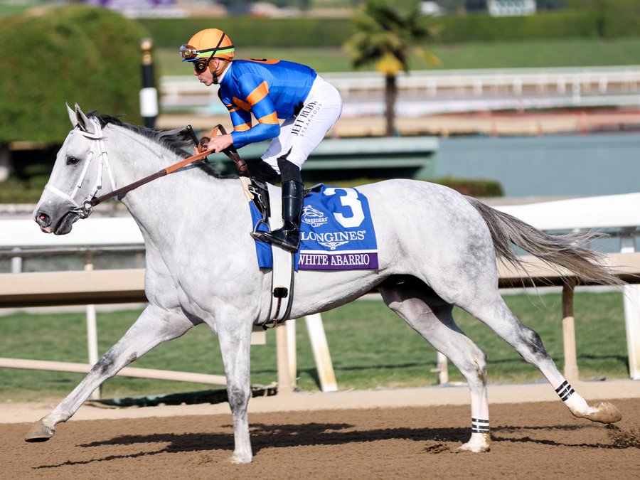 C2 Racing Stable (@c2racingstable) on Twitter photo The Champ WHITE ABARRIO worked 4F 46.94 (1/87) this morning at Belmont with <a href="/iradortiz/">Iradortiz</a> up for <a href="/RickDutrow59/">Rick Dutrow Racing Stables</a> and <a href="/C2RacingStable/">C2 Racing Stable</a>. The Champ WHITE ABARRIO worked 4F 46.94 (1/87) this morning at Belmont with <a href="/iradortiz/">Iradortiz</a> up for <a href="/RickDutrow59/">Rick Dutrow Racing Stables</a> and <a href="/C2RacingStable/">C2 Racing Stable</a>.