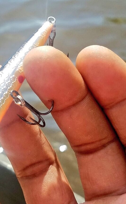 ilove2fish4bass's tweet photo. Yep! 0 bass 1 finger! Side cutters &amp; pushed it through the top of the finger, but I fish for an hour with it in my finger before I pushed it out 🤣🤣 no pain, just fishing! #topwater #treblehook #pencilpopper @StrikeKingLures @BassProShops @TackleWarehouse #teamstratos #HailState https://t.co/pzKkMejrZ3