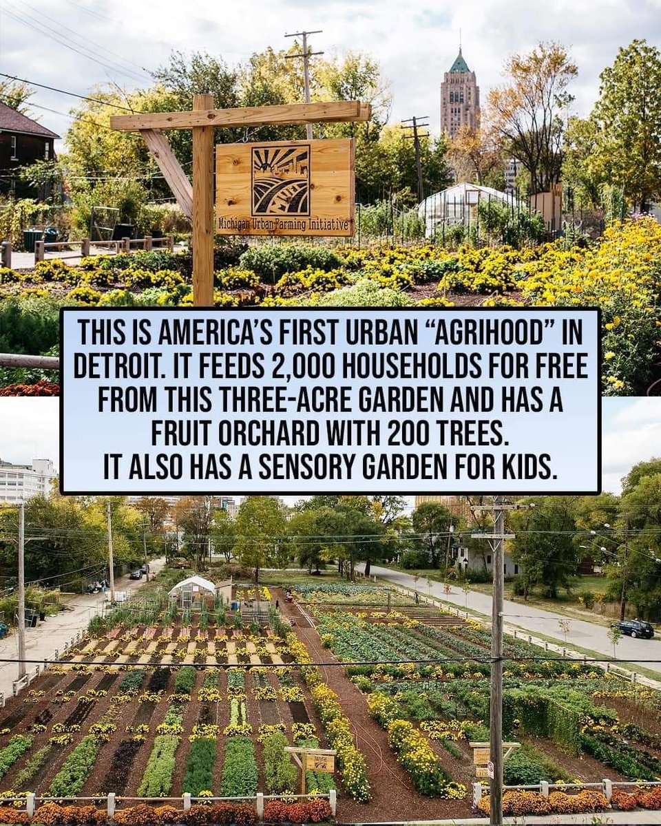 : Detroit's Agrihood...! #UrbanFarming 💡