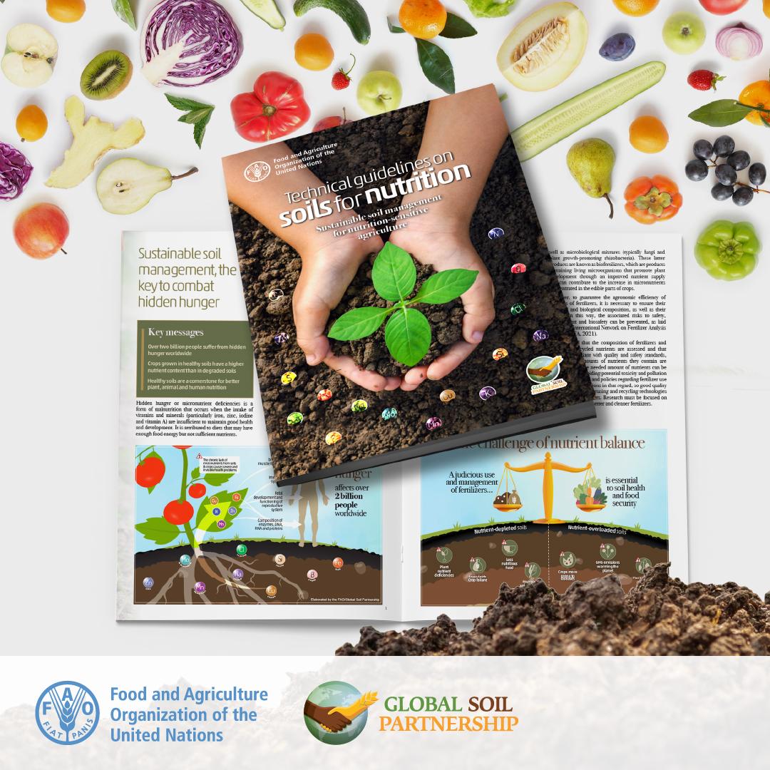 Learn more about the link between #SoilHealth, crop micronutrient content & human nutrition in the 'Technical Guidelines on #Soils4Nutrition' @bmel #SoilHealth #SoilAction #GlobalSoilPartnership Download: doi.org/10.4060/cc5069…
