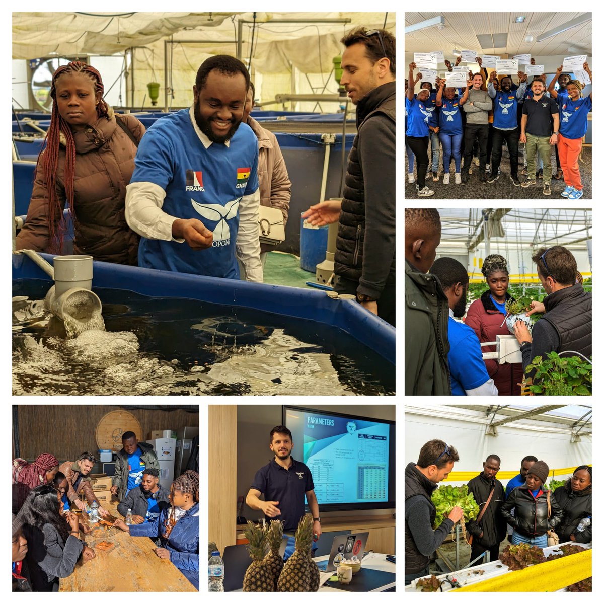 BiOPONi_fr's tweet photo. 🐟🌱 Aquaponie au Ghana 🇬🇭

Première session de formation internationale de l'année chez @BiOPONi_fr, accueillant une quinzaine de professionnels de l'aquaculture et de l'hydroponie du Ghana 🇬🇭 

#Aquaponics 🐟🌱 #SustainableInnovation ♻ #InternationalEducation 🌐 https://t.co/FfmABx2TLh