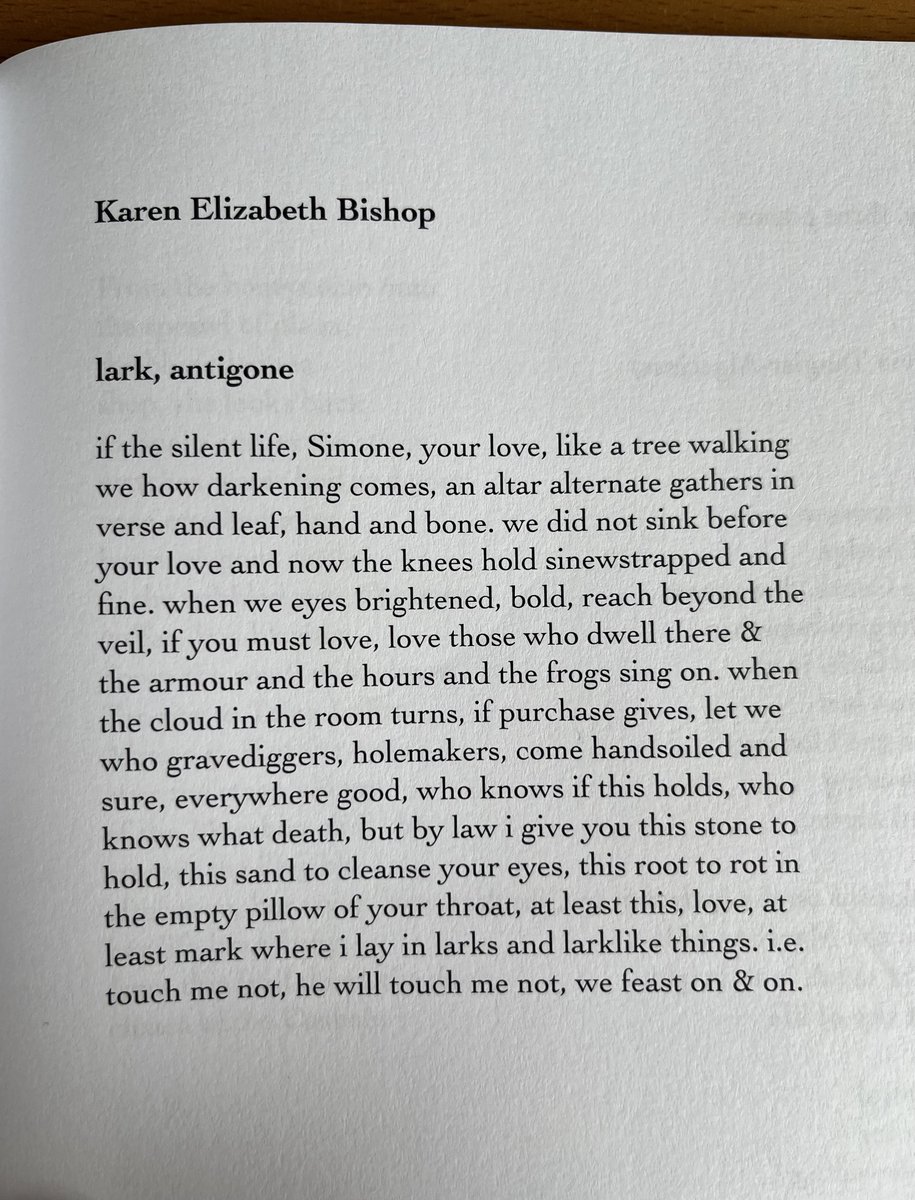 The gorgeous latest issue of Lana Turner. Do purchase if you haven't yet, it's just a stunner. Many thanks to Cal Bedient and David Lau for including "lark, antigone."