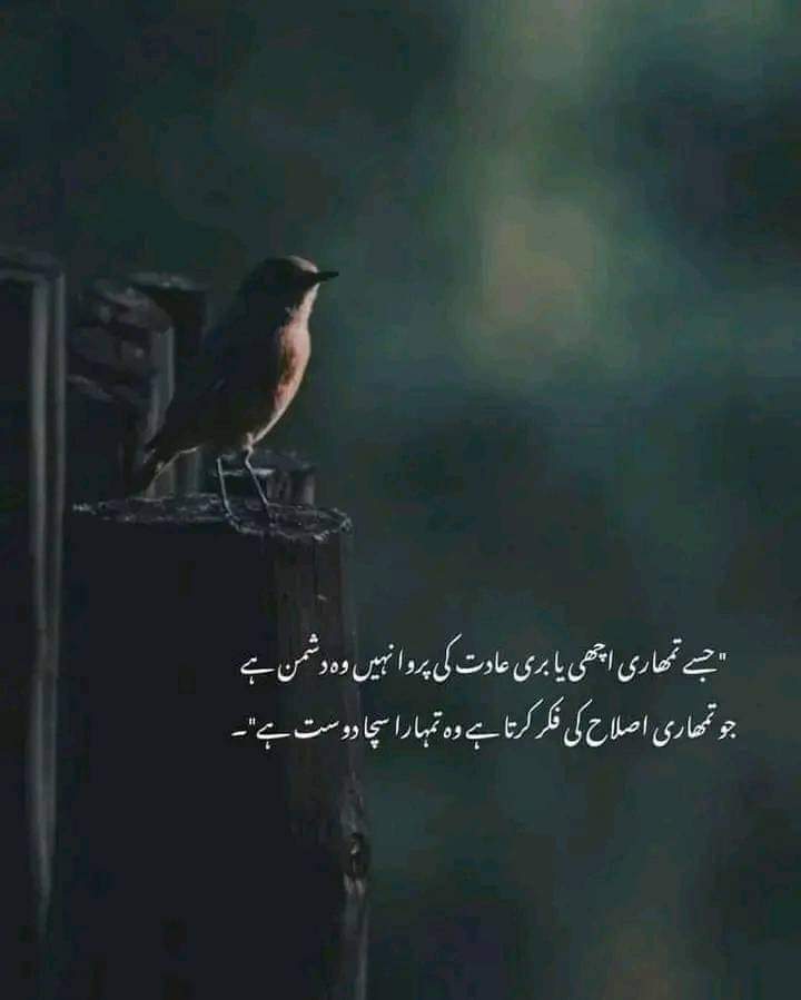Aftab Ali tweet media