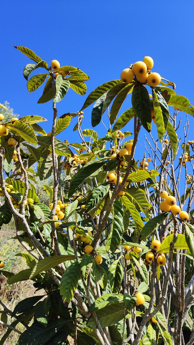 Adam Martinakis tweet media