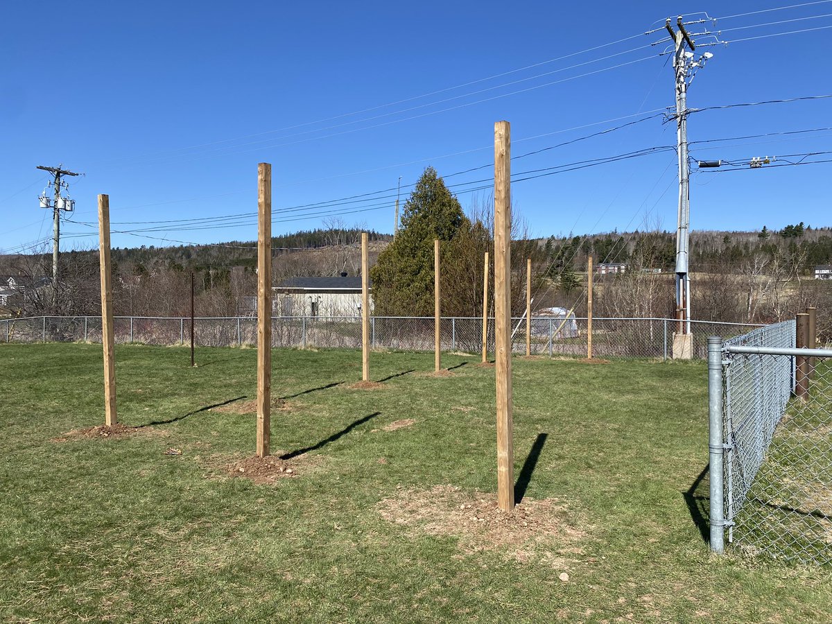 ApohaquiElem's tweet photo. Phase 1 of our school garden construction is underway this morning with the installation of our fence posts. Raised beds to be built this week! 🥦🥕🍅 https://t.co/OxhVkvphF6