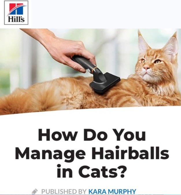 Great article Hill’s Pet Nutrition 
lnkd.in/gmCjnY_j

We’re Hiring:
* 1 full time Boarding Tech 
* 2 part-time or 1 full-time veterinarian technician

Résumé stacie.ward@stoneridgevet.com
stoneridgevet.com
801-254-4840
#Riverton #Herriman #Draper #Bluffdale #SoJordan