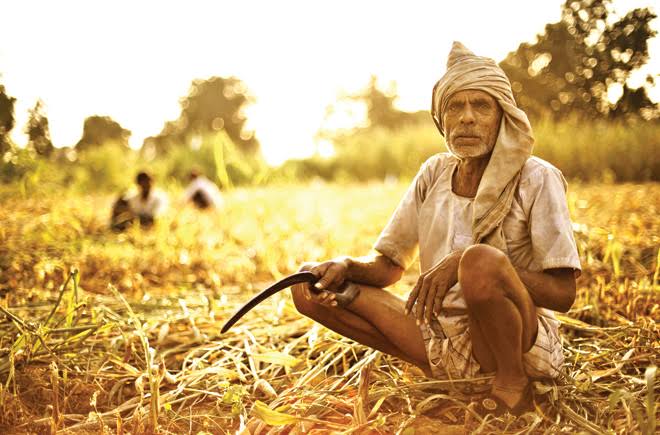 हरित क्रान्ति ने कृषि उपज इतनी बढ़ा दी कि खाद्यान्न सुरक्षा बड़ी चुनौती नहीं रह गई लेकिन जलवायु परिवर्तन और बढ़ती मंहगाई के दौर में किसानों को खेती से पर्याप्त आय न मिल पाने से लोग खेत-खलिहान से दूर होते जा रहे हैं। तकनीकि के प्रयोग मात्र से किसानों की आय दुगना करना संभव नहीं है।