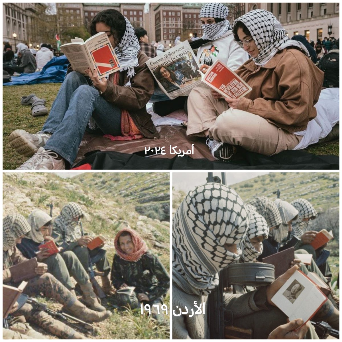 The Palestinian Archive الأرشيف الفلسطيني tweet media