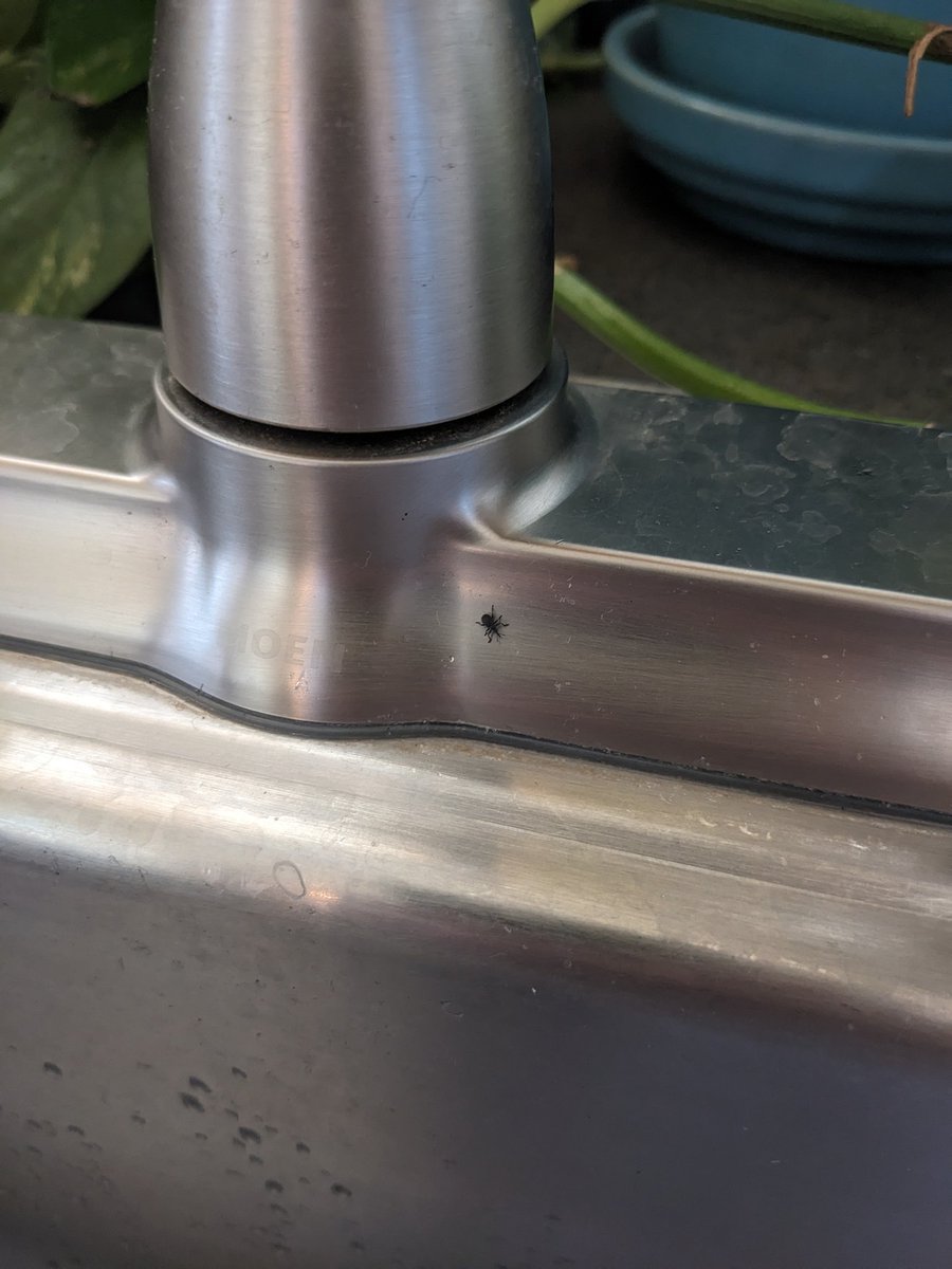 Frank Izaguirre tweet media