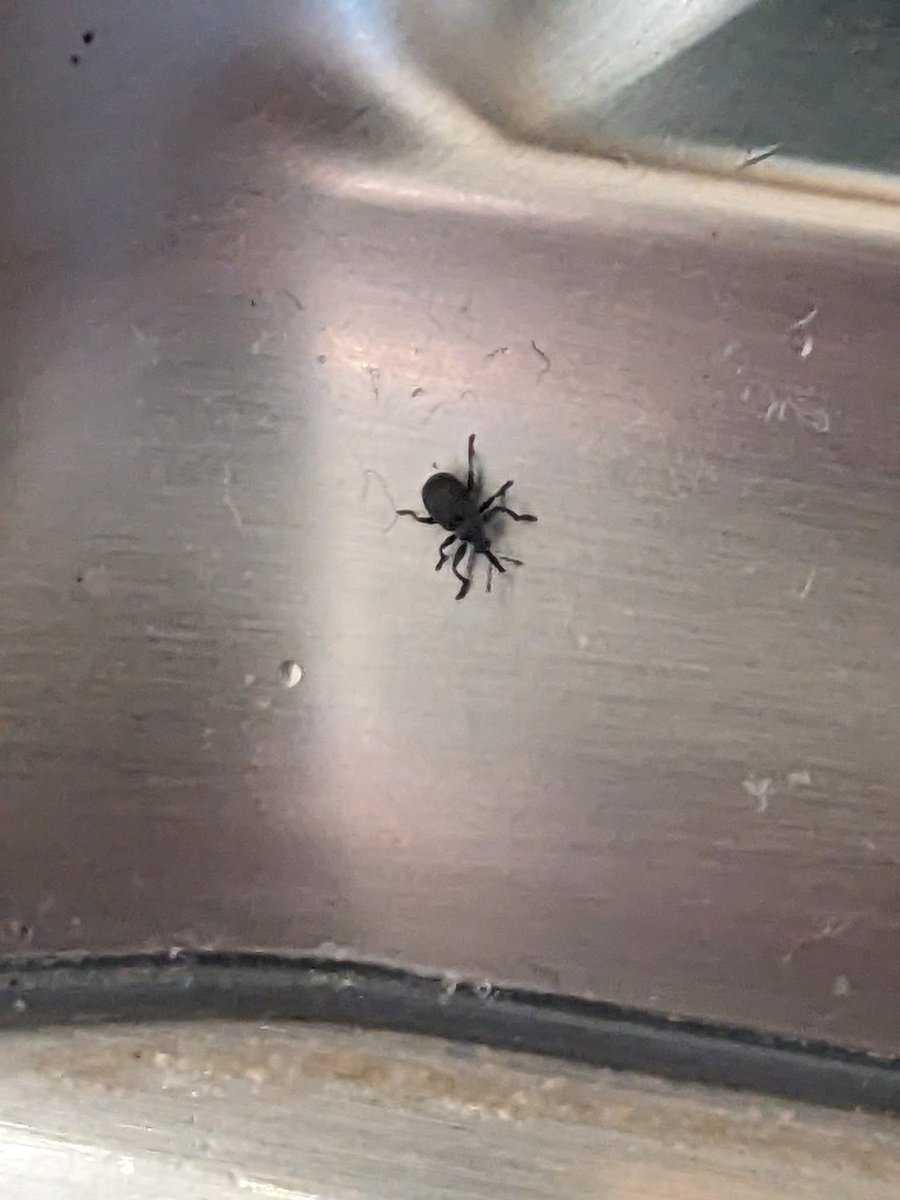 Frank Izaguirre tweet media