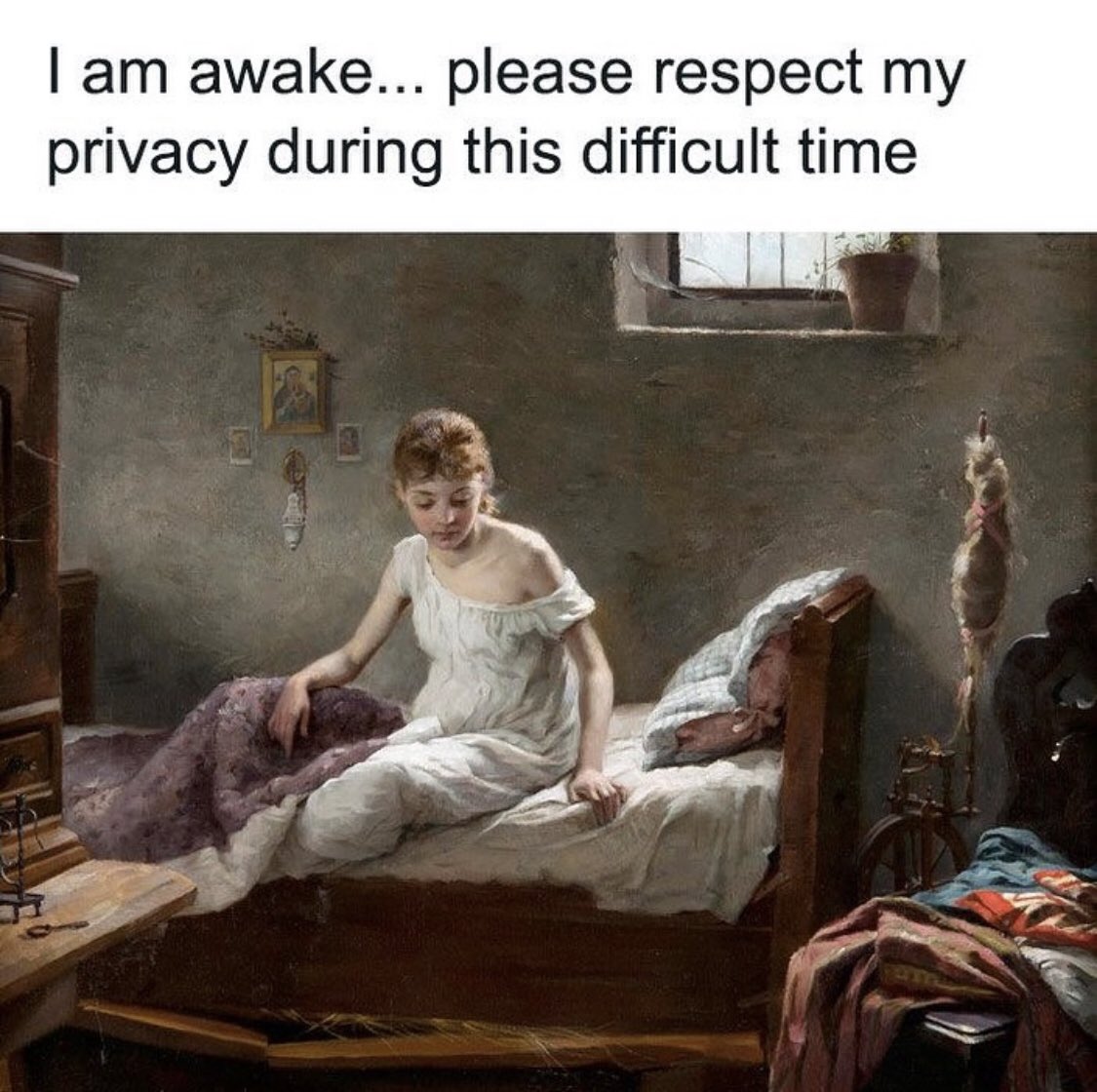 introvertsmemes's tweet photo. https://t.co/ykWtJpcAEW