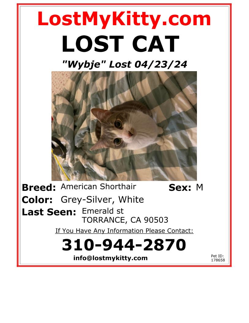 lost cat in torrance, ca area. cat is a grey-silver american shorthair lostmykitty.com/details.cfm?pe… #LostPets #MissingPets #LostCat