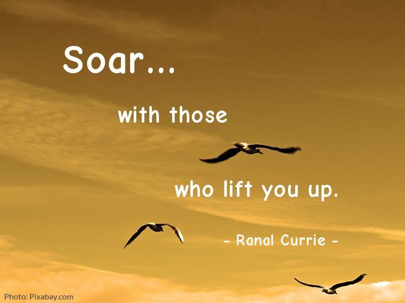 Soar with those who lift you up.

#quote #quotesmith55 #encouragement #success #SaturdaySunshine