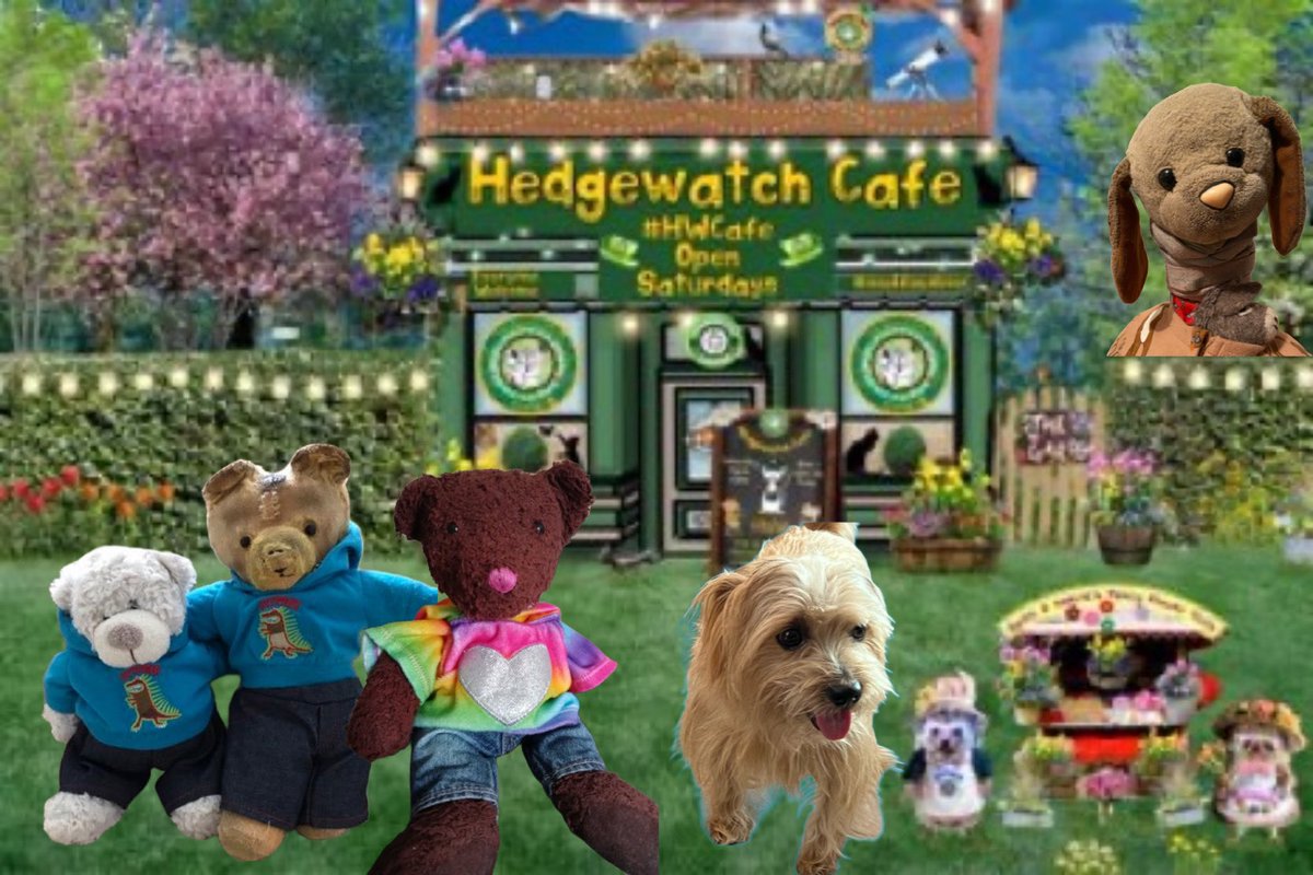 Me has come wif some fwens for #HWCafe . Left to right @JustTeddy15 wif Youngun, Raspberry @joans1963, me, an peeking over de Hedge, @BuntyMayflower. We is a teensy bit early, hoping to look at de menu for de kind of noms Bears would like!