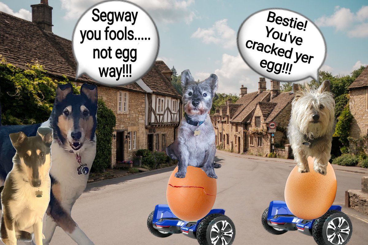 We must get our heary holes cleaned out bestie, I was sure General Bazz said egg! Ohhh maybe I shouldn't have had that last pie bestie, I've cracked me egg! #GoToWorkOnAnEgg #zzst #segway #BovverBoys @jennystape @CollieTwiggy