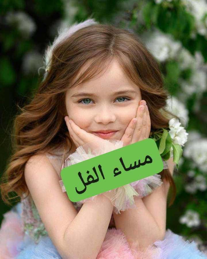 @gazwan717550506 @maha8321553 @lmrylmr93902488 @__MrMr4 @134Suu @Gigi46830095 @alsuhaad @DOCTOMR999 @WX2fuCvBYP9l2aL @OcivJ @Bashar_M_AQady @fars_alwlyd @jj222oj @swdyh236832 @ii5i19