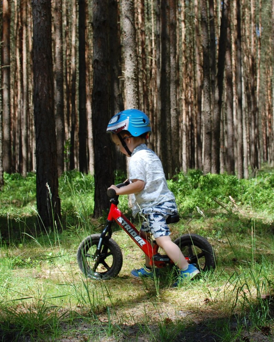 StriderBikes's tweet image. Today is #CelebrateTrails Day! 🚵☀️ We&apos;re encouraging you to get out outside and hit some trails today. 🤙

#RailsToTrails #StriderBikes #StrideOn