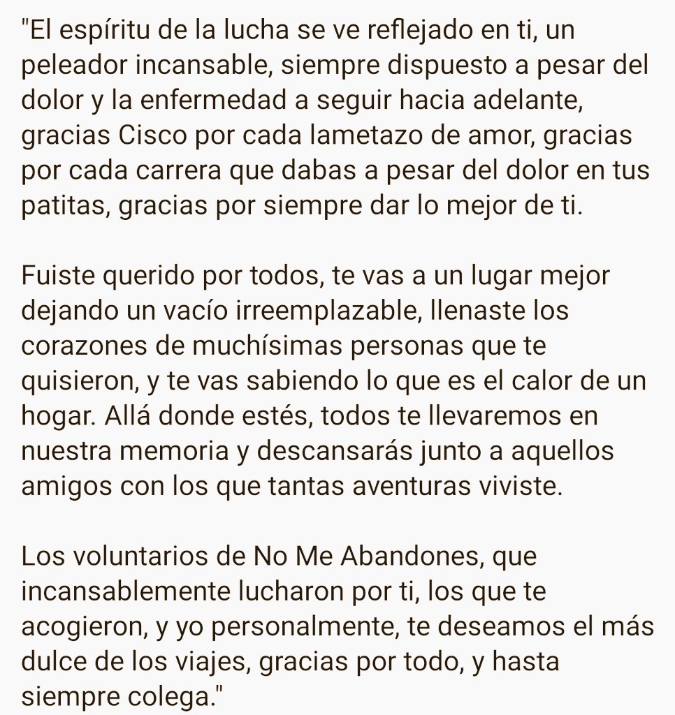 protectoranma's tweet photo. Nos quedamos con el tiempo que ha estado en un hogar,  súper querido. Se fue tranquilo, después de comer cosas ricas y dar un paseo por la playa.

Su acogida le dedica estas palabras: https://t.co/1pckezecA4