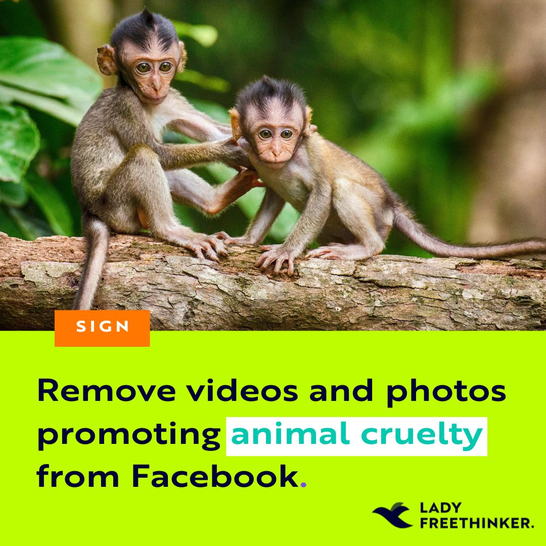 The spread of #animal torture videos on #socialmedia is not only disturbing – it encourages others to inflict violence on innocent creatures.

SIGN the petition calling on #Facebook to TAKE ACTION: ladyfreethinker.org/sign-remove-an…
