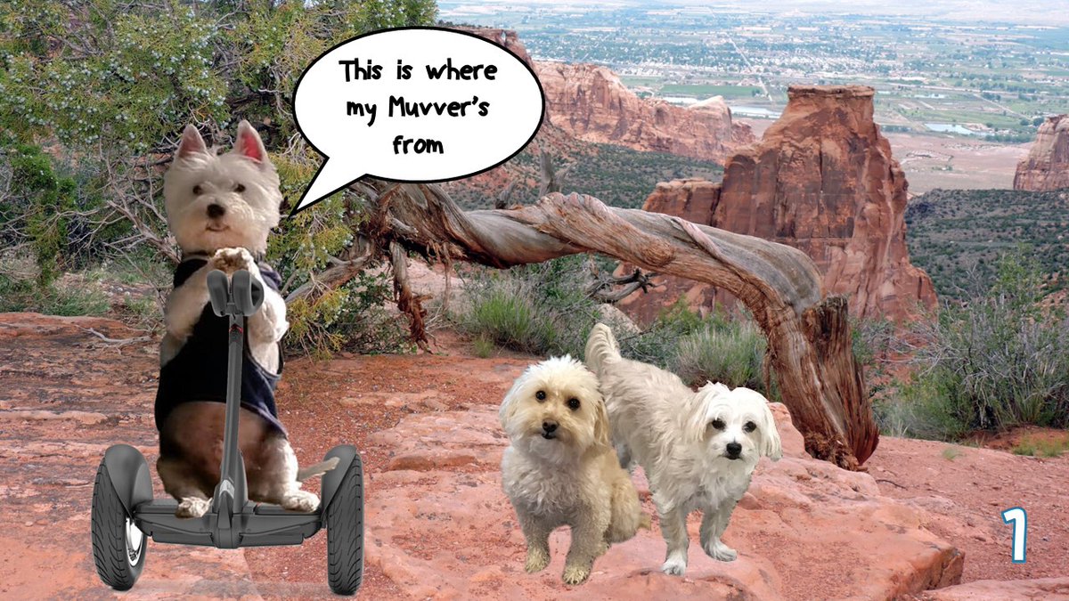 Now, I dunno that anyone can get this one ... #zzst @Free2BeeMee