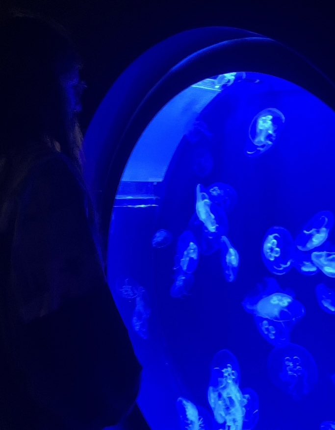 p1wontop's tweet photo. aquarium date with theo .ใปใ.ใปใโญใป.๐
#P1SD #P1eceScaDay #P1Harmony
#ํผ์ํ๋ชจ๋ #THEO #ํ
์ค #PSD
#P1HarmonyWithP1ece #PHSD
@P1H_members https://t.co/Sppc8frjip