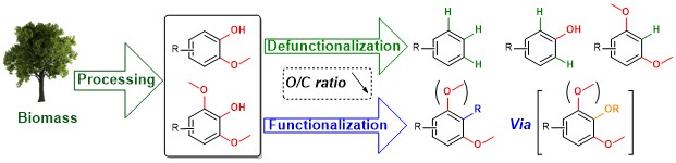 Check out our latest review article <a href="/ChemSocRev/">Chem Soc Rev</a> on selective C(aryl)–O bond cleavage in biorenewable phenolics.
Congratulations to former PhD student Gilles De Smet and postdoc Xingfeng Bai 
👉pubs.rsc.org/en/content/art…