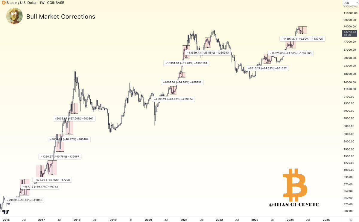 Bitcoin Bull Market Corrections Considerations. Not saying this bull run  corrections are a walk in the park but in comparison to previous ones it is  way less bloody. Look at the -30% -