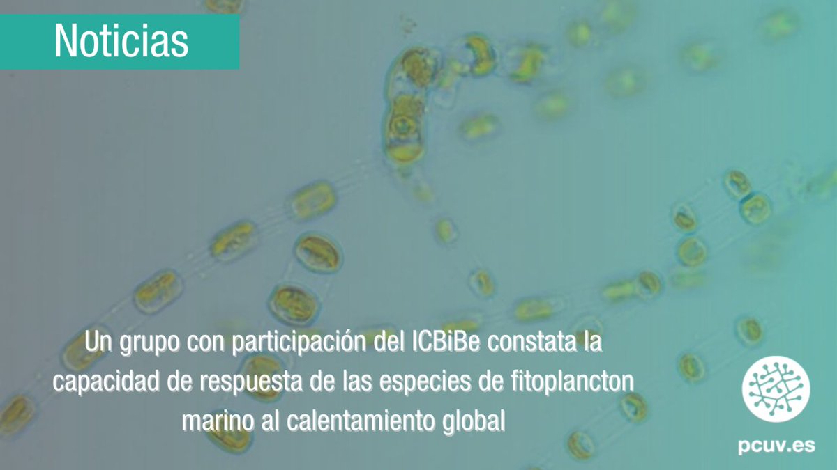 📰| #InstitutosPCUV

🌊Mara Segovia, investigadora Erasmus+ en el ICBiBe, ha participado en un estudio que revela la capacidad de respuesta de las algas marinas a los efectos del cambio climático. 

Lee la noticia ⬇️
news.pcuv.es/home-pcuv-inst…