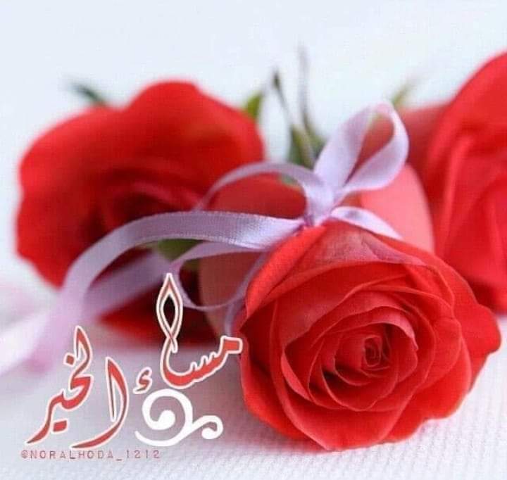 @zahrat_lotas @maha8321553 @lmrylmr93902488 @__MrMr4 @134Suu @Gigi46830095 @alsuhaad @DOCTOMR999 @WX2fuCvBYP9l2aL @OcivJ @Bashar_M_AQady @fars_alwlyd @jj222oj @swdyh236832 @ii5i19