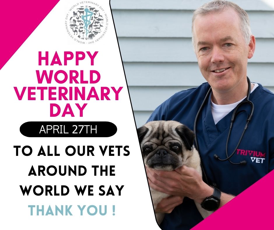 TriviumVet (@triviumvet) on Twitter photo Vets play an important part in our global communities. Veterinary science contributes not only to animal health and well-being but also to humans physical, mental and social well-being. HAPPY WORLD VETERINARY DAY from all of us here at TriviumVet. <a href="/worldvetassoc/">World Veterinary Association</a> #WVD2024 Vets play an important part in our global communities. Veterinary science contributes not only to animal health and well-being but also to humans physical, mental and social well-being. HAPPY WORLD VETERINARY DAY from all of us here at TriviumVet. <a href="/worldvetassoc/">World Veterinary Association</a> #WVD2024