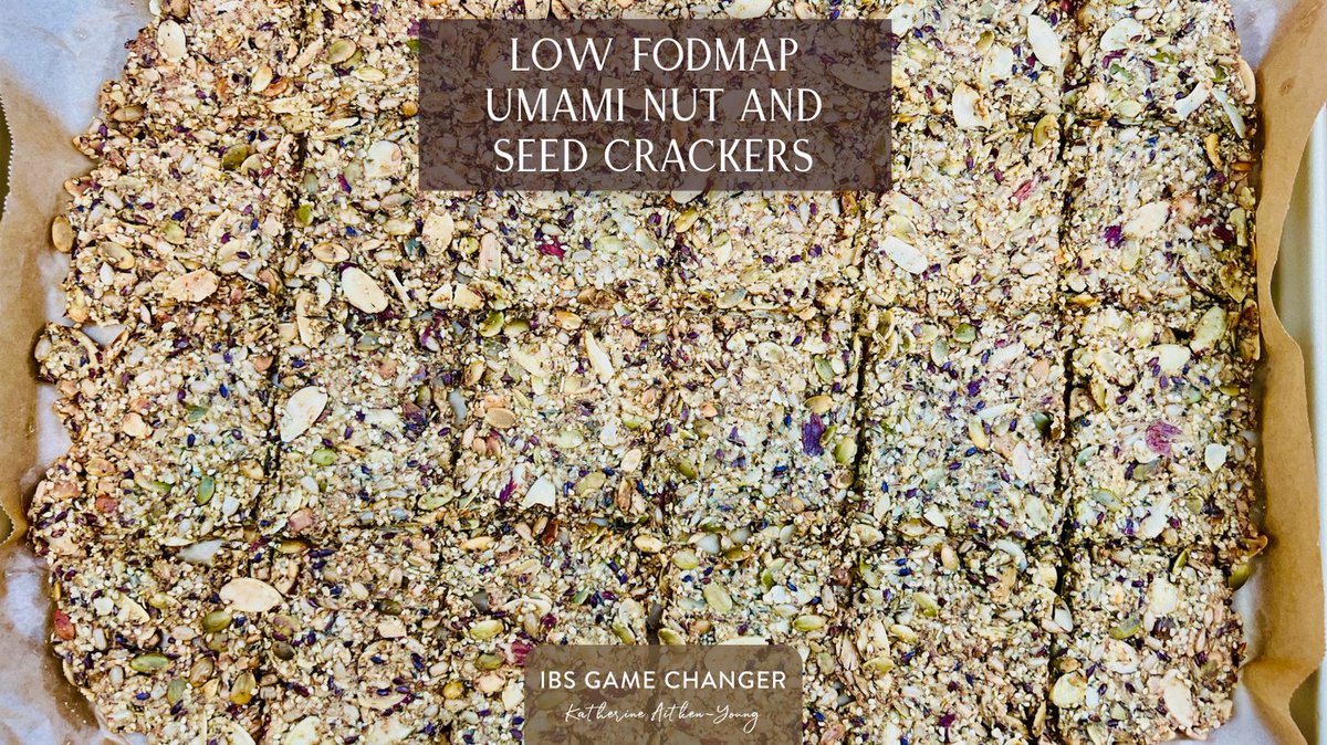 Delicious #plantforward #lowfodmap Umami Nut and Seed Crackers 

Make it: t.ly/veP0h
Pin it: pin.it/6wg42oTaf

#ibsgamechanger #fodmapfriendly #vegetarian #vegan #glutenfree #glutenfreerecipes #lactosefree #lownetstarch #lownetcarb #lownetstarch #lowcarb