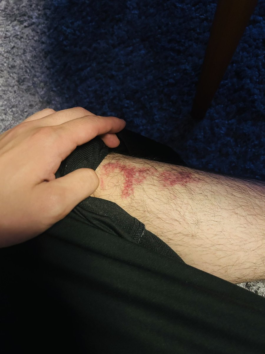 9番街レトロ なかむらしゅん tweet media