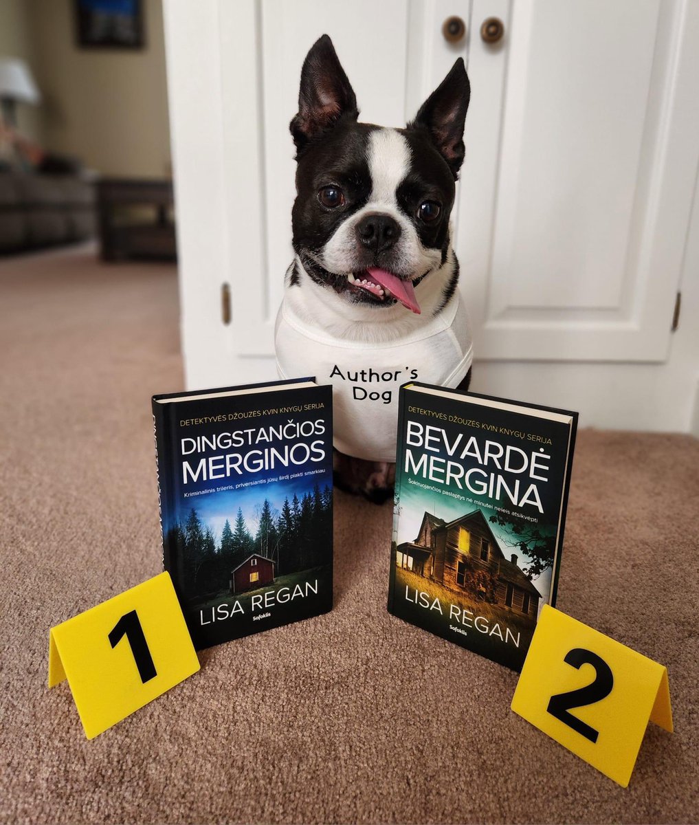 Mr. Phillip presents the gorgeous Lithuanian translations of books 1 and 2 of the Detective Josie Quinn series. Carrots 🥕 were promised. 

#chroniclesofphil #BostonTerrier #authorsdog #josiequinn #josiequinnseries #detectivejosiequinn