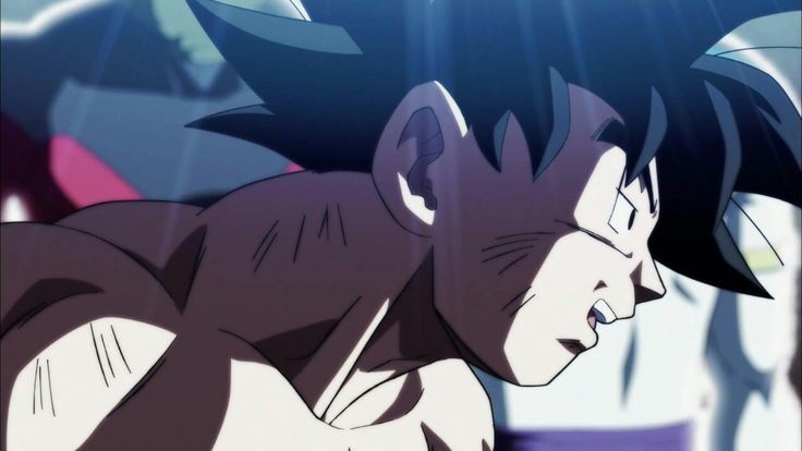 daily_goku tweet picture