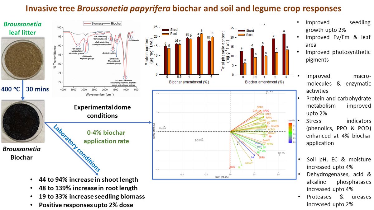 Rishike71674837's tweet photo. Article Alert: Happy to share our New article published in #JSSPN on Impact of invasive plant biochar on growth responses of Cajanus. (https://t.co/30pEJM5WJ7) #ecophysiology and #soilenzymaticactivities after biochar amendment #Cajanus crop. https://t.co/x6T4l7VUWK