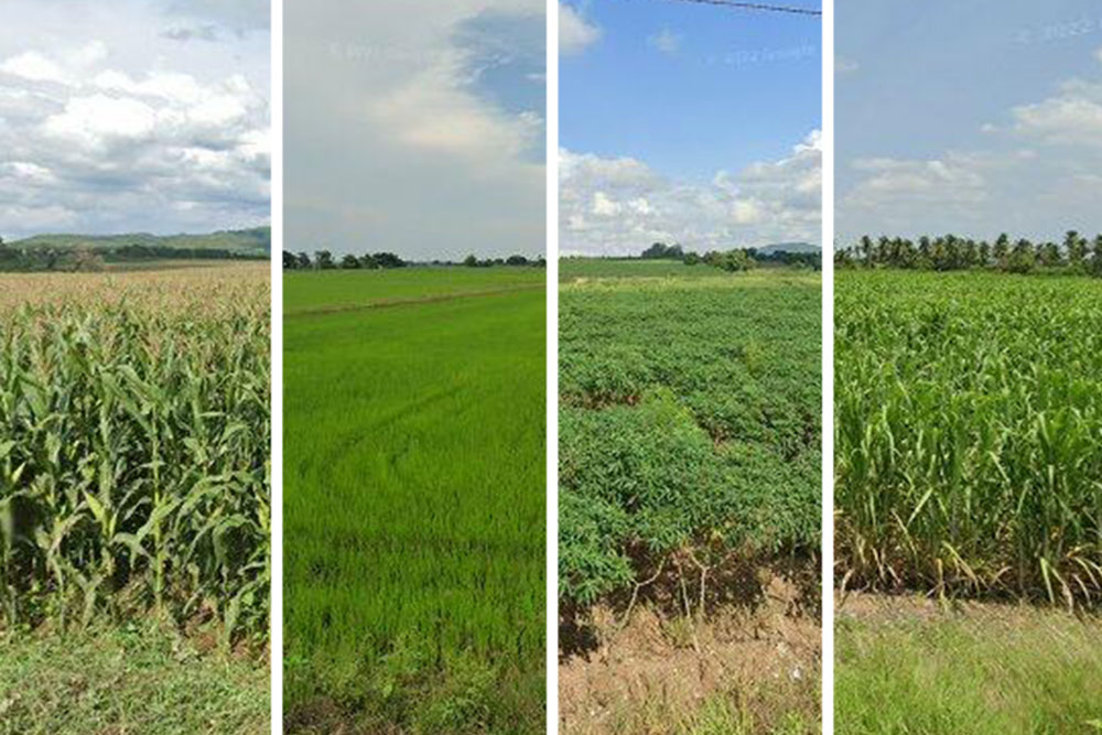 MIT researchers remotely map crops, field by field: The team used machine learning to analyze satellite and roadside images of areas where small farms predominate and agricultural data are sparse. mitsha.re/iWz050QCSHA