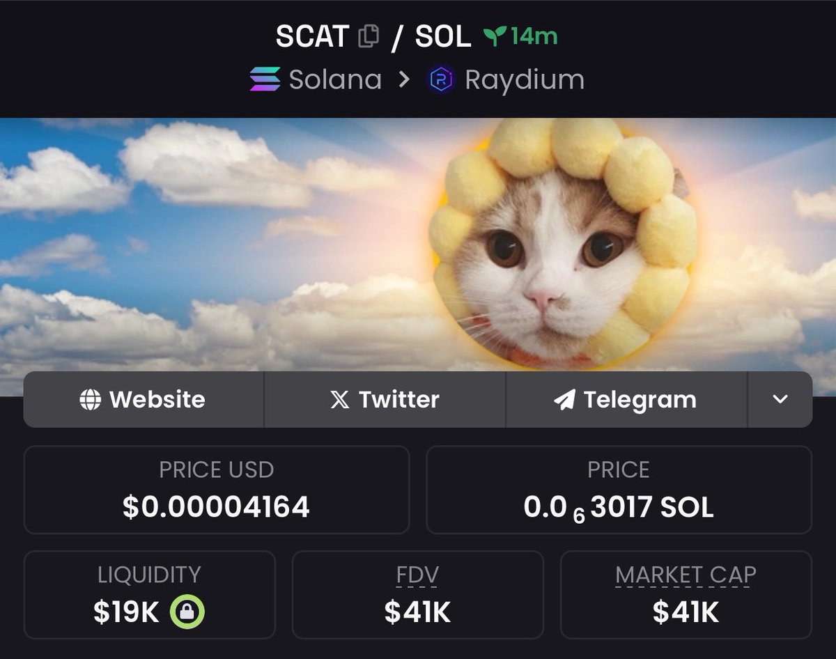 WoofDog 🐶 tweet media