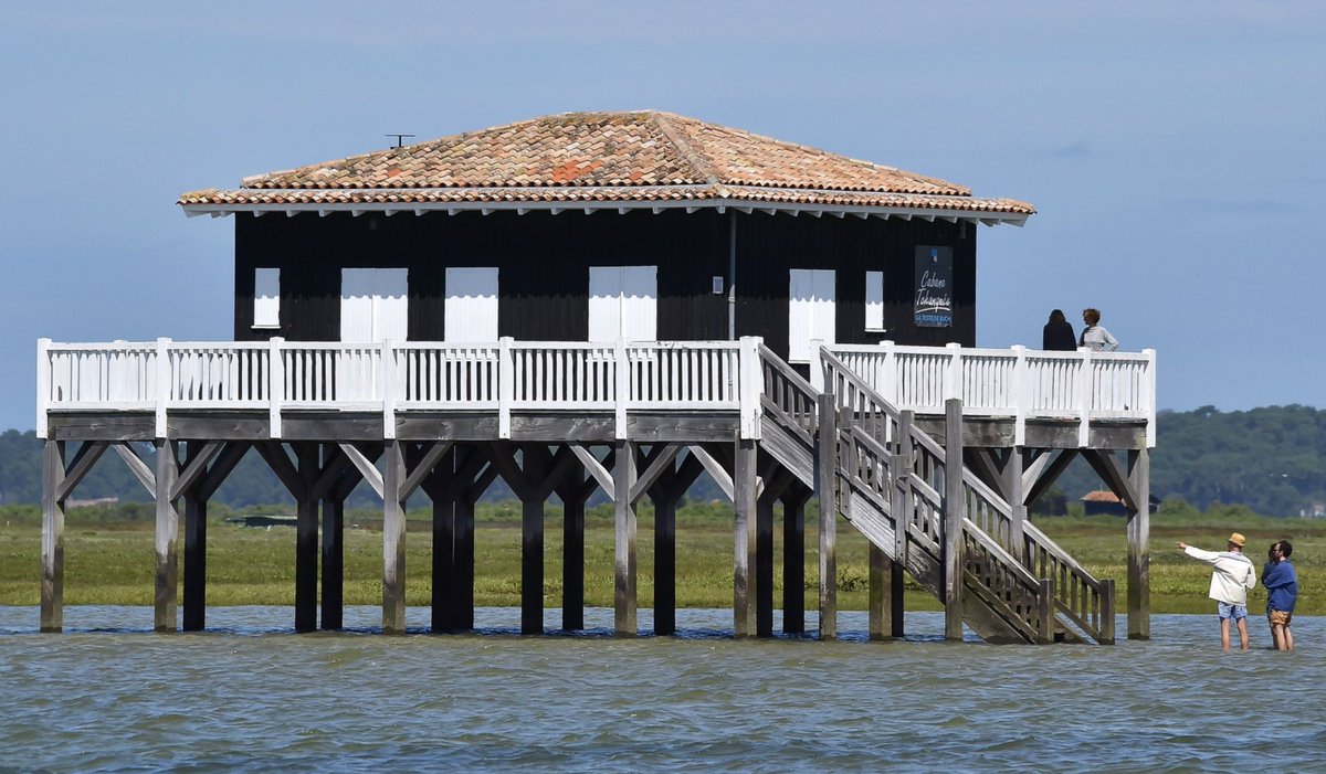 jane anson tweet media