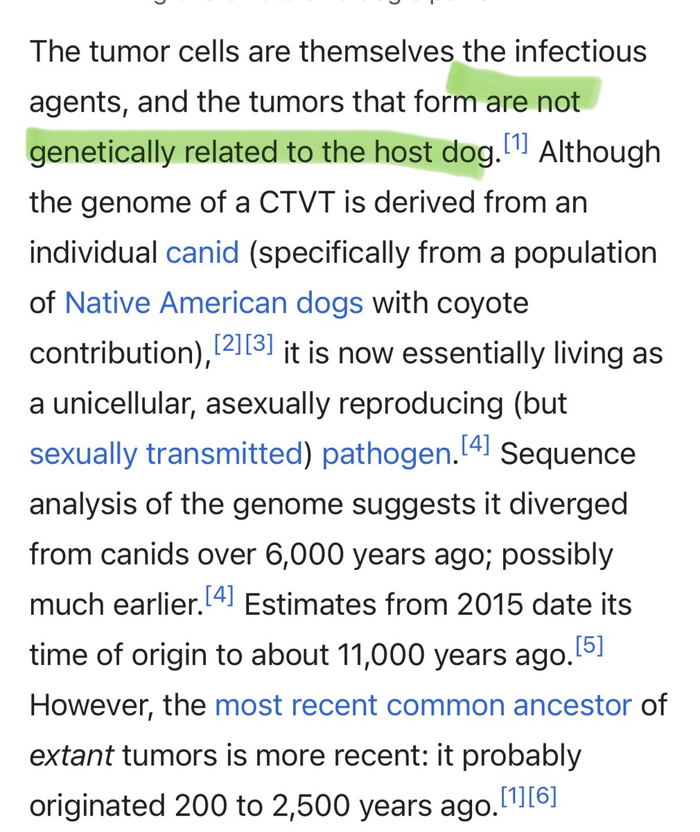 pli_cachete's tweet photo. Thinking about the immortal 6000 year old dog tumor STD that still has the DNA of the original dog https://t.co/jFM6t1IDVX