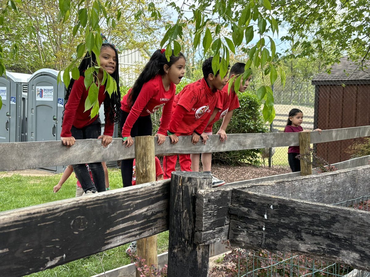 Ms. Rivera tweet media